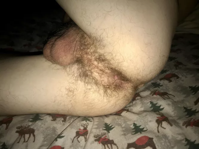 Lick or stick?
