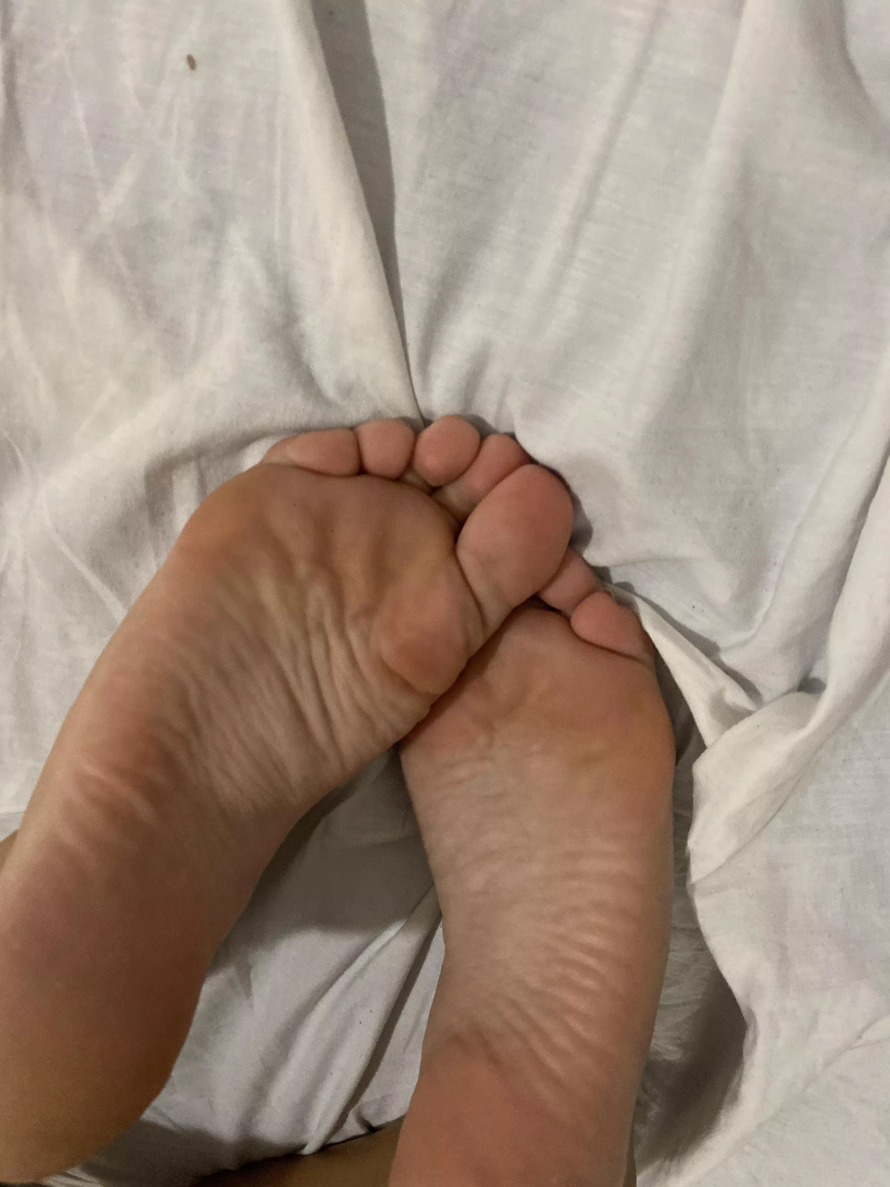 Lick or suck ? Lick or suck ?