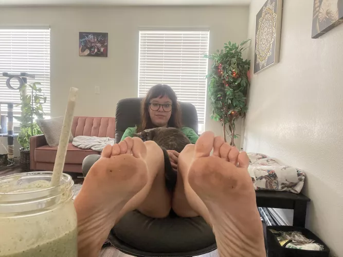 lick them clean lick them clean