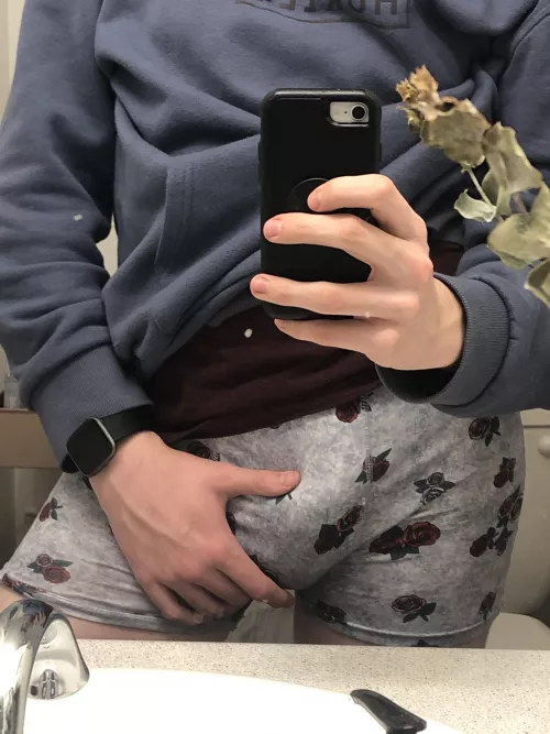 Life is full of roses begging to be sniffed. These might be some of them 😉