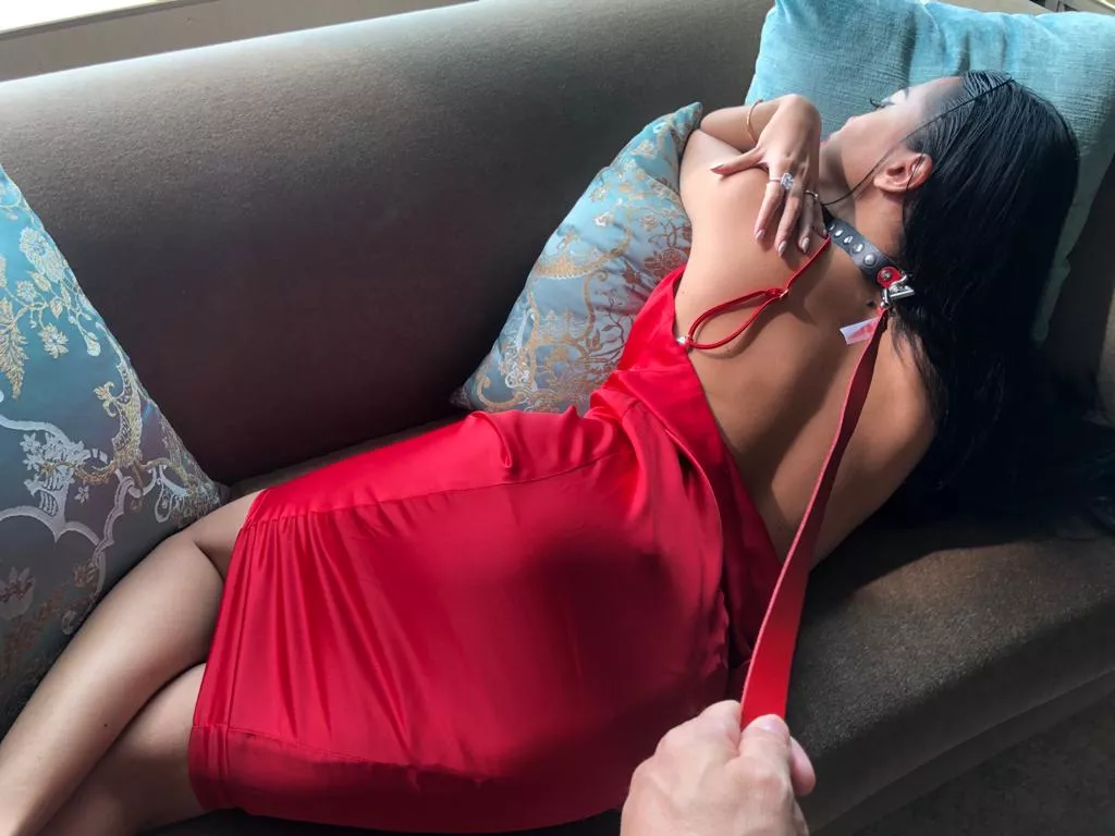 Like how tight the collar feels Like how tight the collar feels