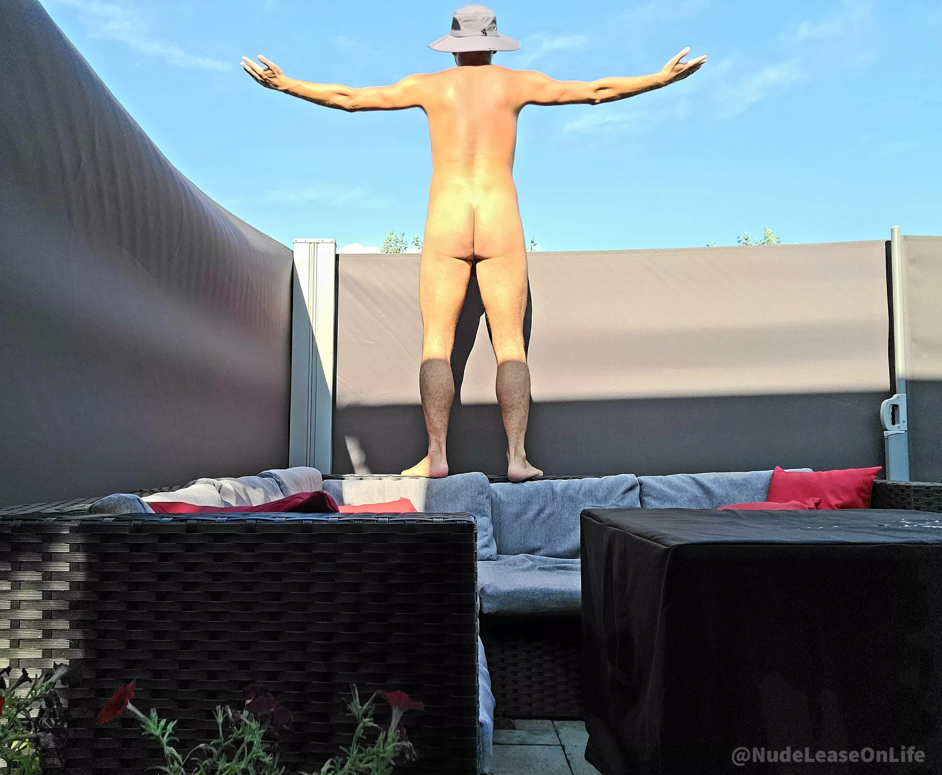 Like moths to a flame, climbing on top of furniture trying to chase the last bits of sun that remain for the day. ??