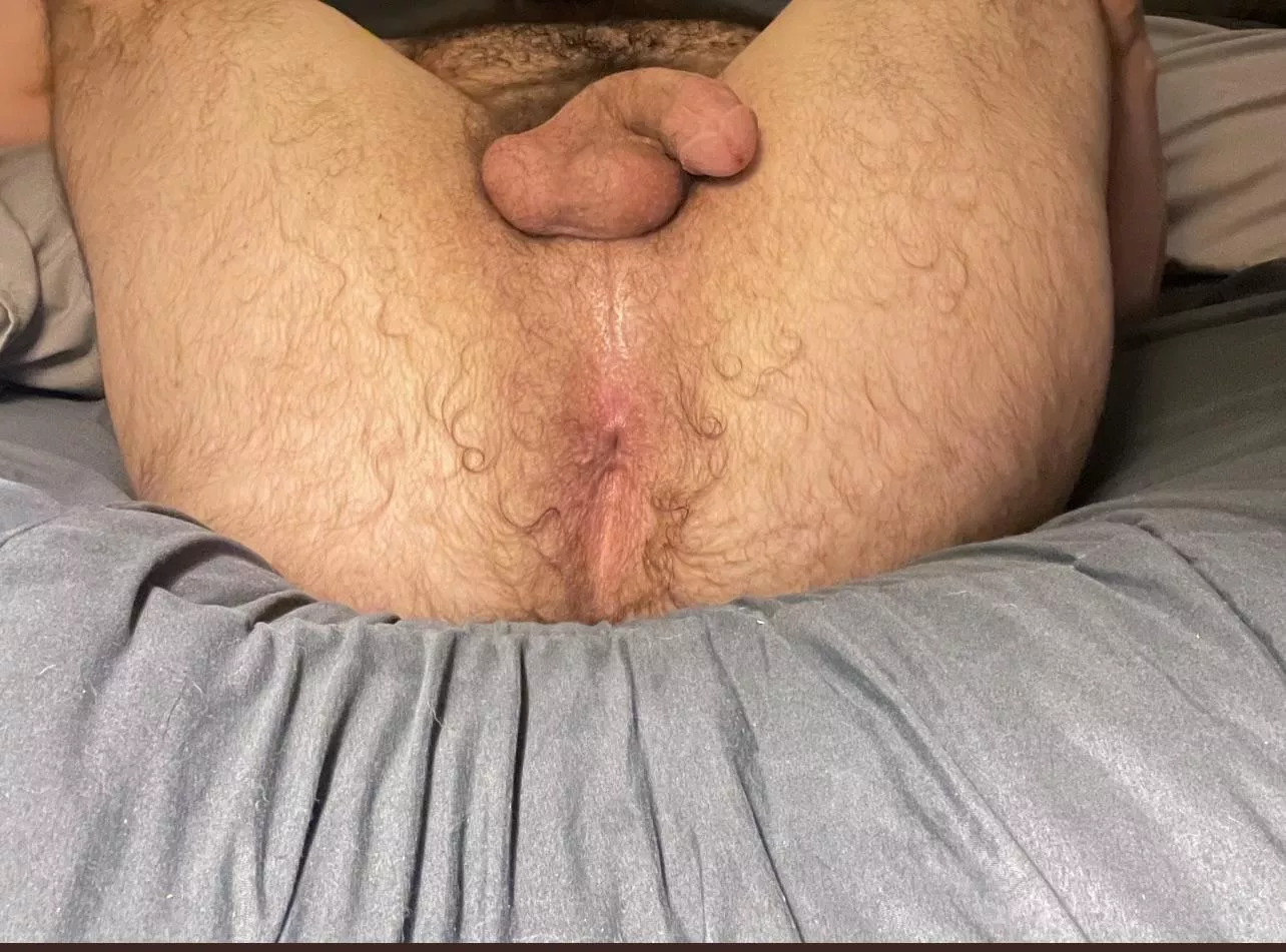 Like my hairy hole?