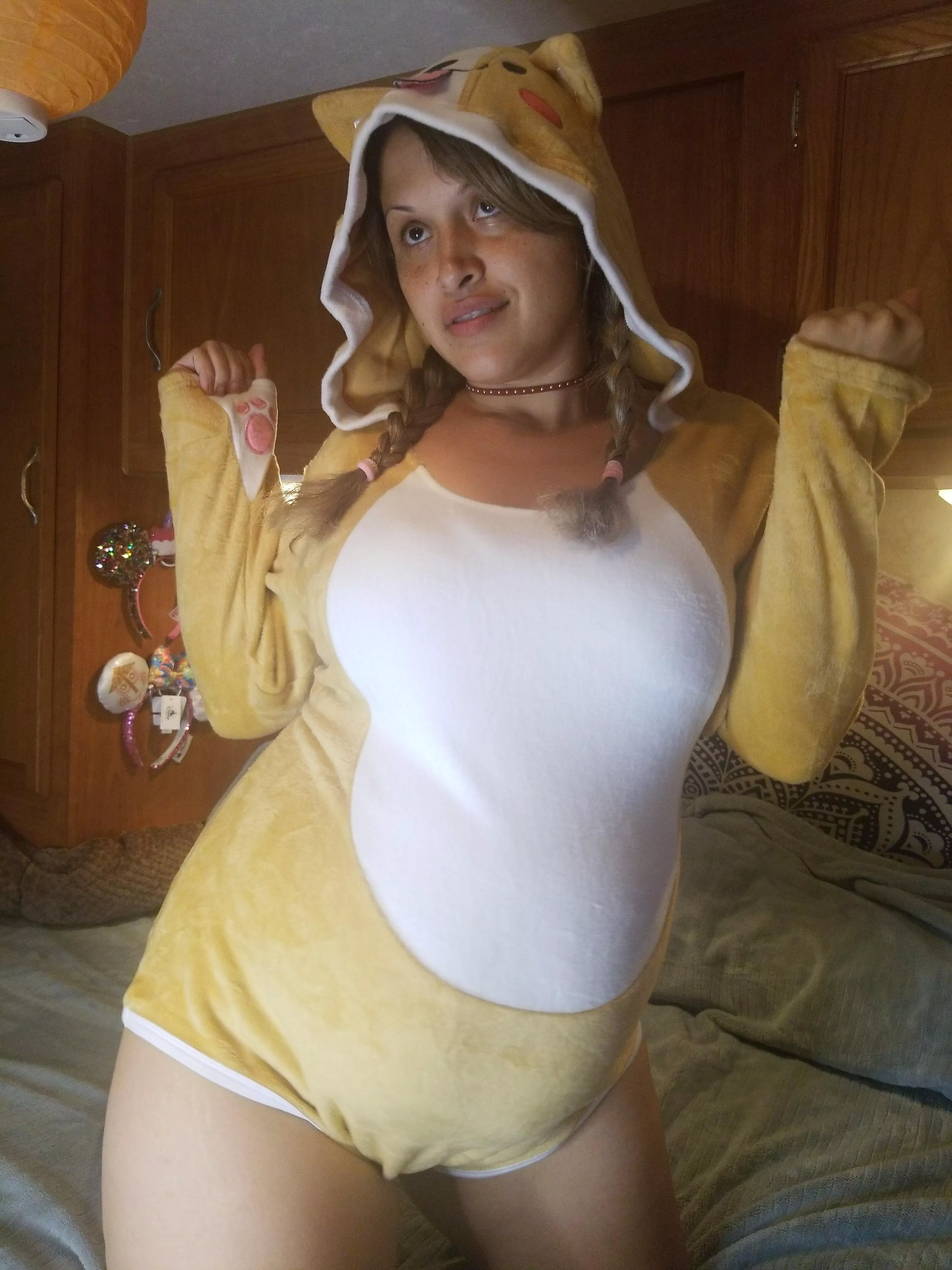 Like my Shiba outfit? Wanna see a little pregnant puppy beg?? Like my Shiba outfit? Wanna see a little pregnant puppy beg??