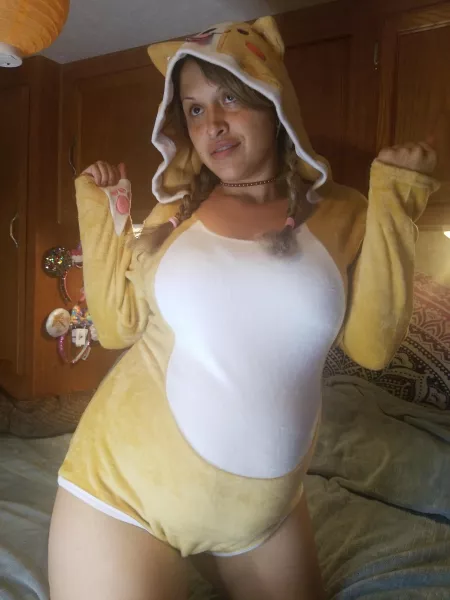 Like my Shiba outfit? Wanna see a little pregnant puppy beg??