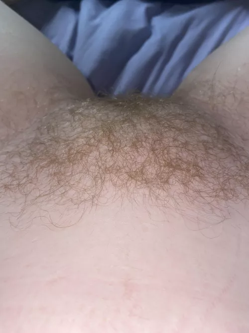 Like the natural ginger? Like the natural ginger?