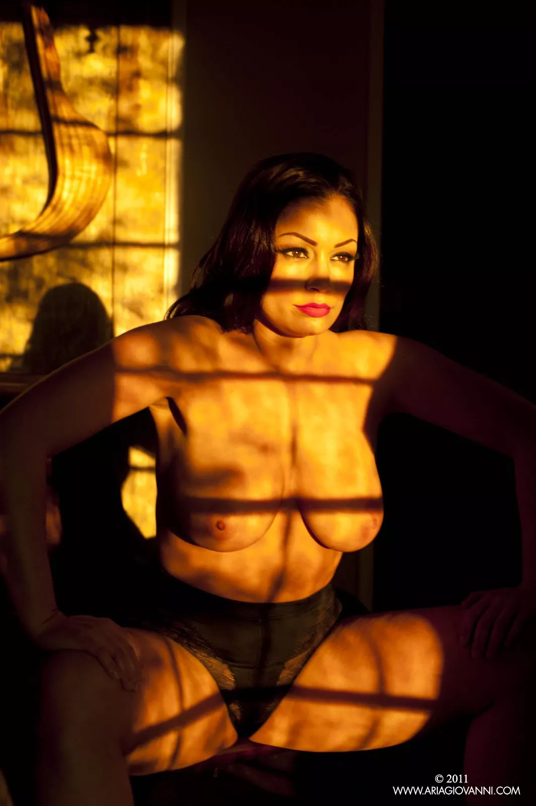Like the Shadows Like the Shadows