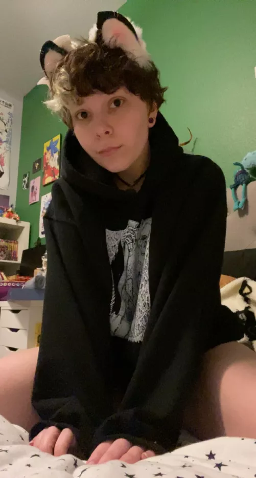 lil kitty boy lil kitty boy