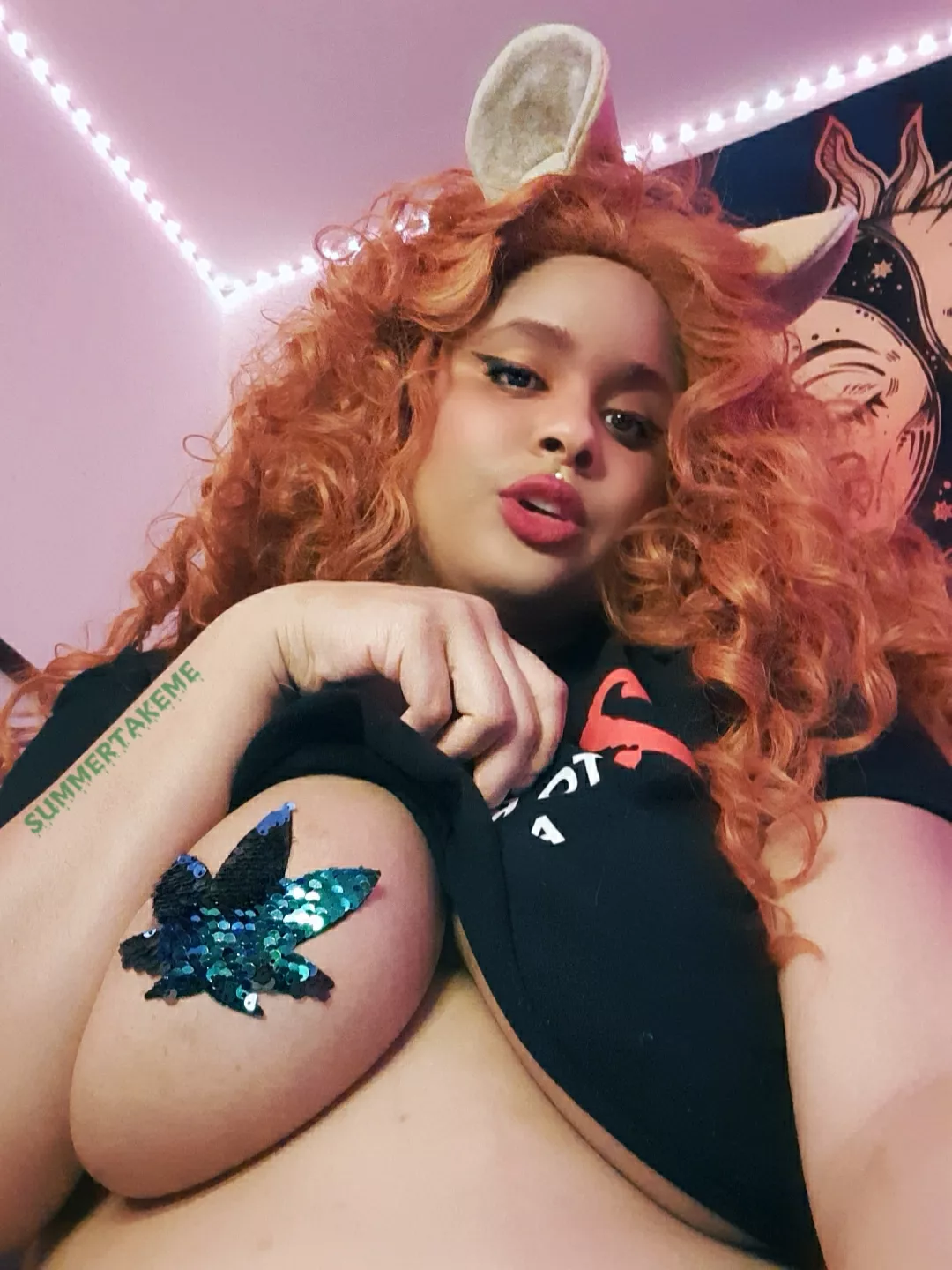 lions are the best cat 💕