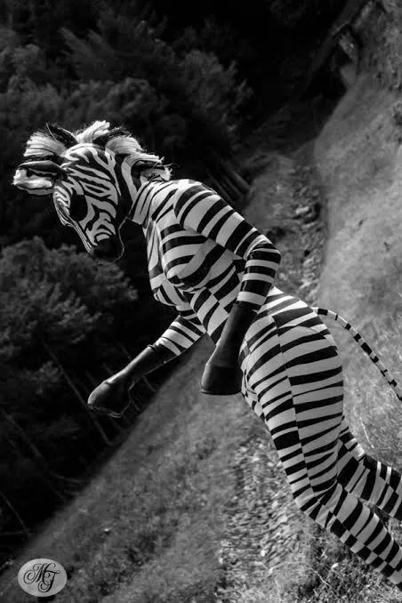 Lisa, wanted to feel the wind, like a pony but she never fully got comfortable with the stable, that couldn't contain her free spirit. But her trainer knew exactly what she needed. Thanks to him, Lisa the Zebra is enjoying her life to the fullest. Lisa, wanted to feel the wind, like a pony but she never fully got comfortable with the stable, that couldn't contain her free spirit. But her trainer knew exactly what she needed. Thanks to him, Lisa the Zebra is enjoying her life to the fullest.