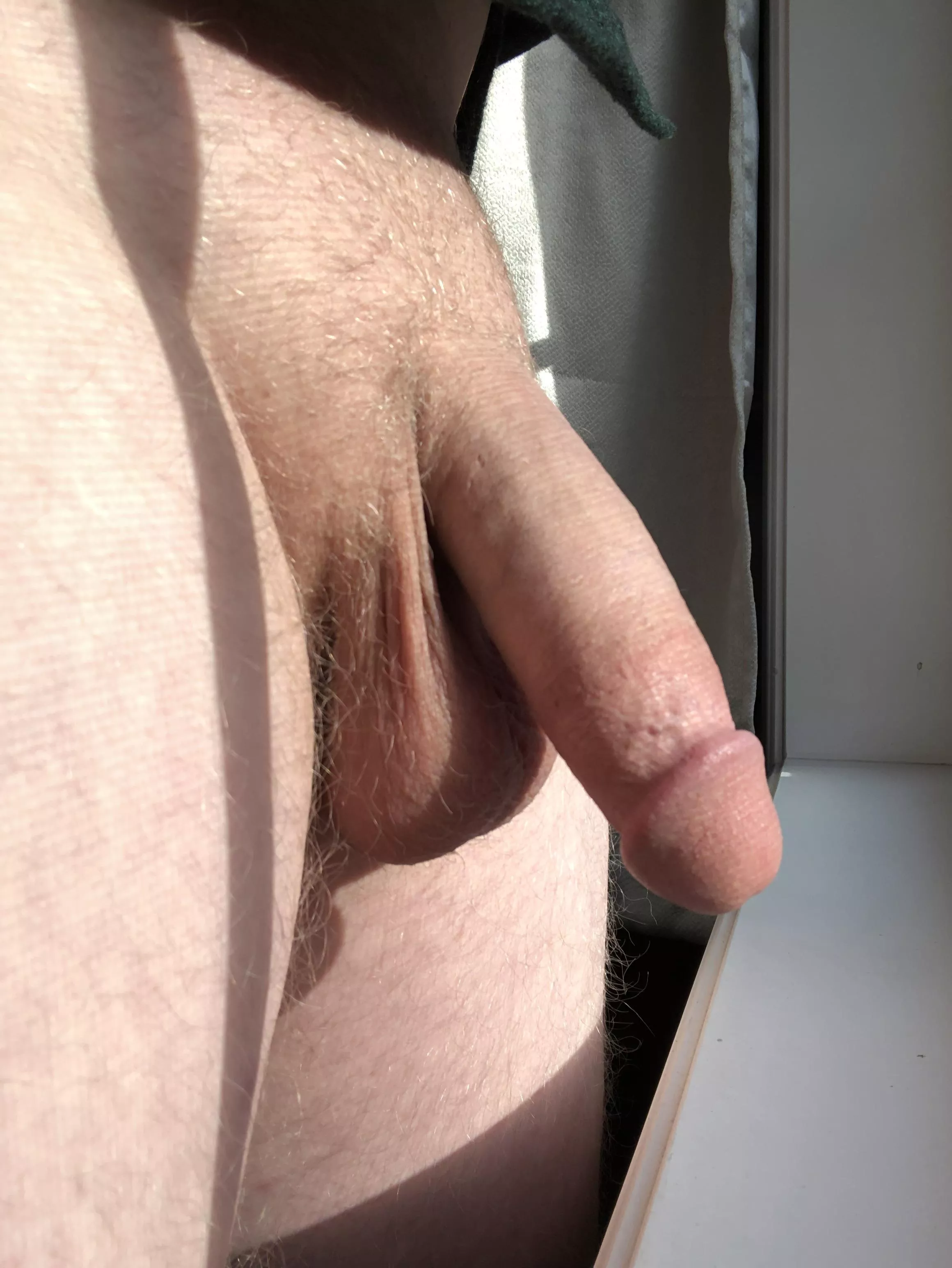 Little afternoon sun Little afternoon sun