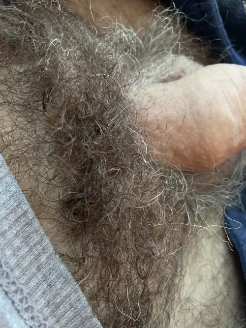 Little bit of fur..,