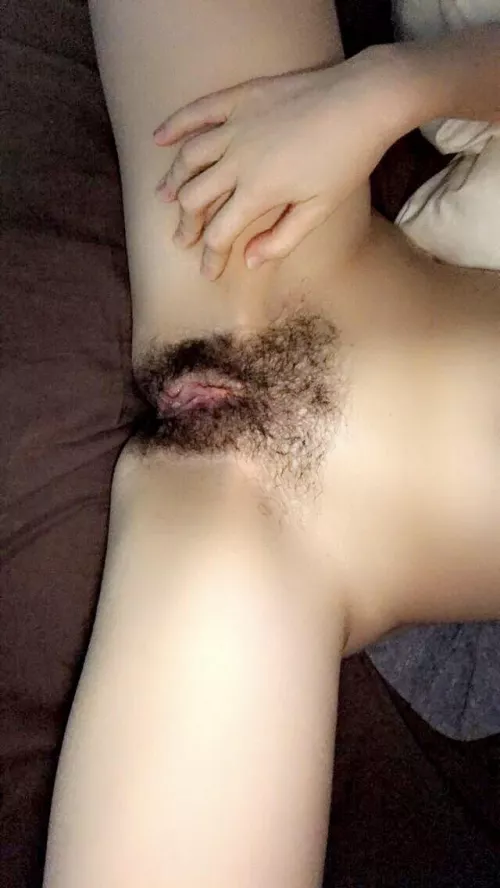 Little hairy vulva π