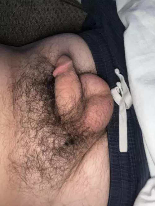 Little softie waiting to get excited 😉