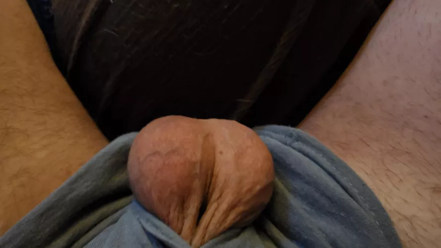 Little walnuts Little walnuts