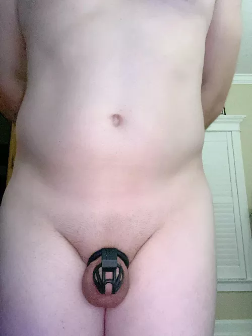 Locked and ready to serve