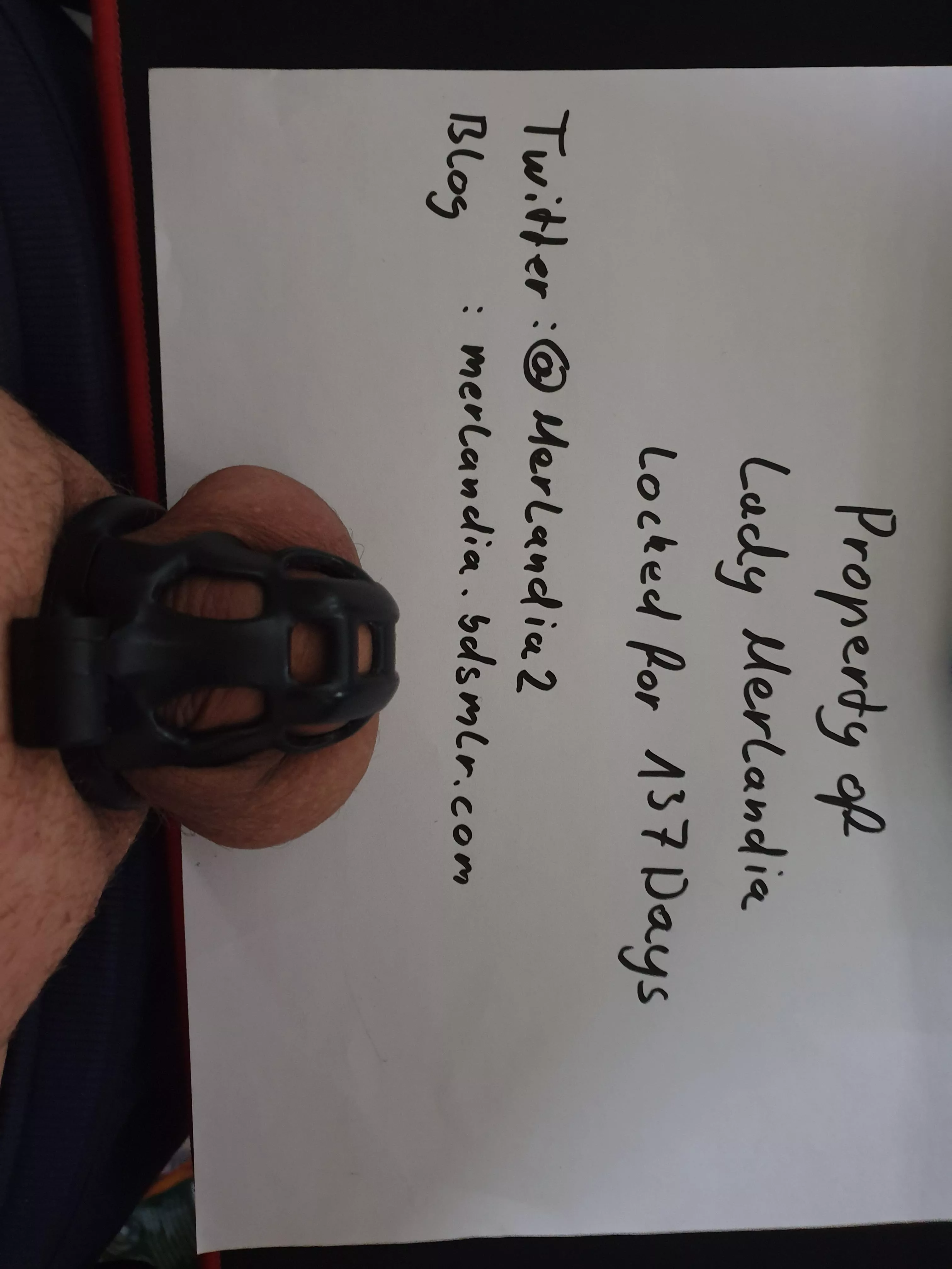 Locked for 137 days Locked for 137 days