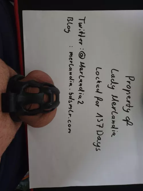 Locked for 137 days with no end (m)