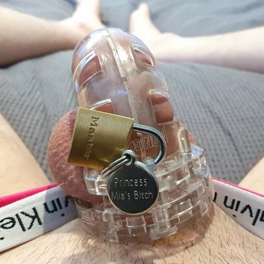 Locked up, panties, and my dog tag. Where he belongs Locked up, panties, and my dog tag. Where he belongs
