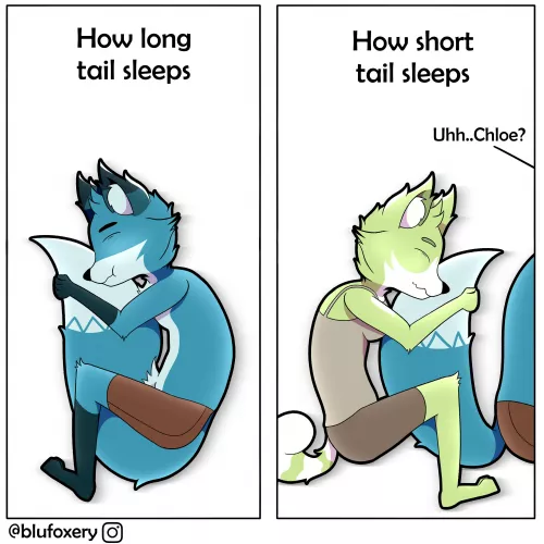 Long Tail vs Short Tail (By Me)