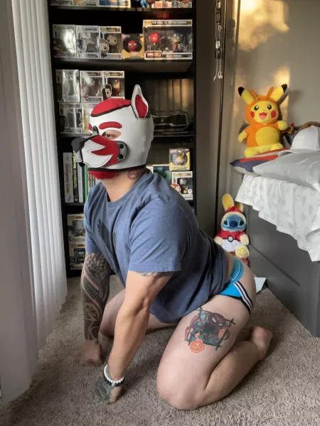 Longing for walkiesโฆ Longing for walkiesโฆ