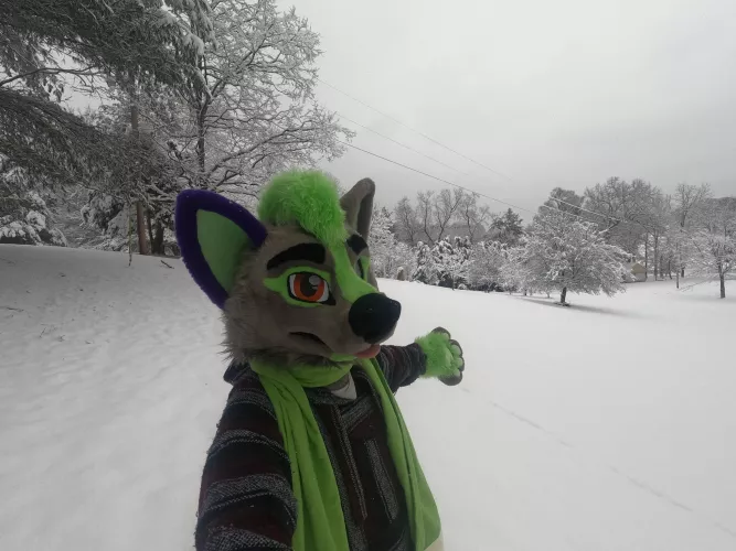 Look at all this free cocaine!!!