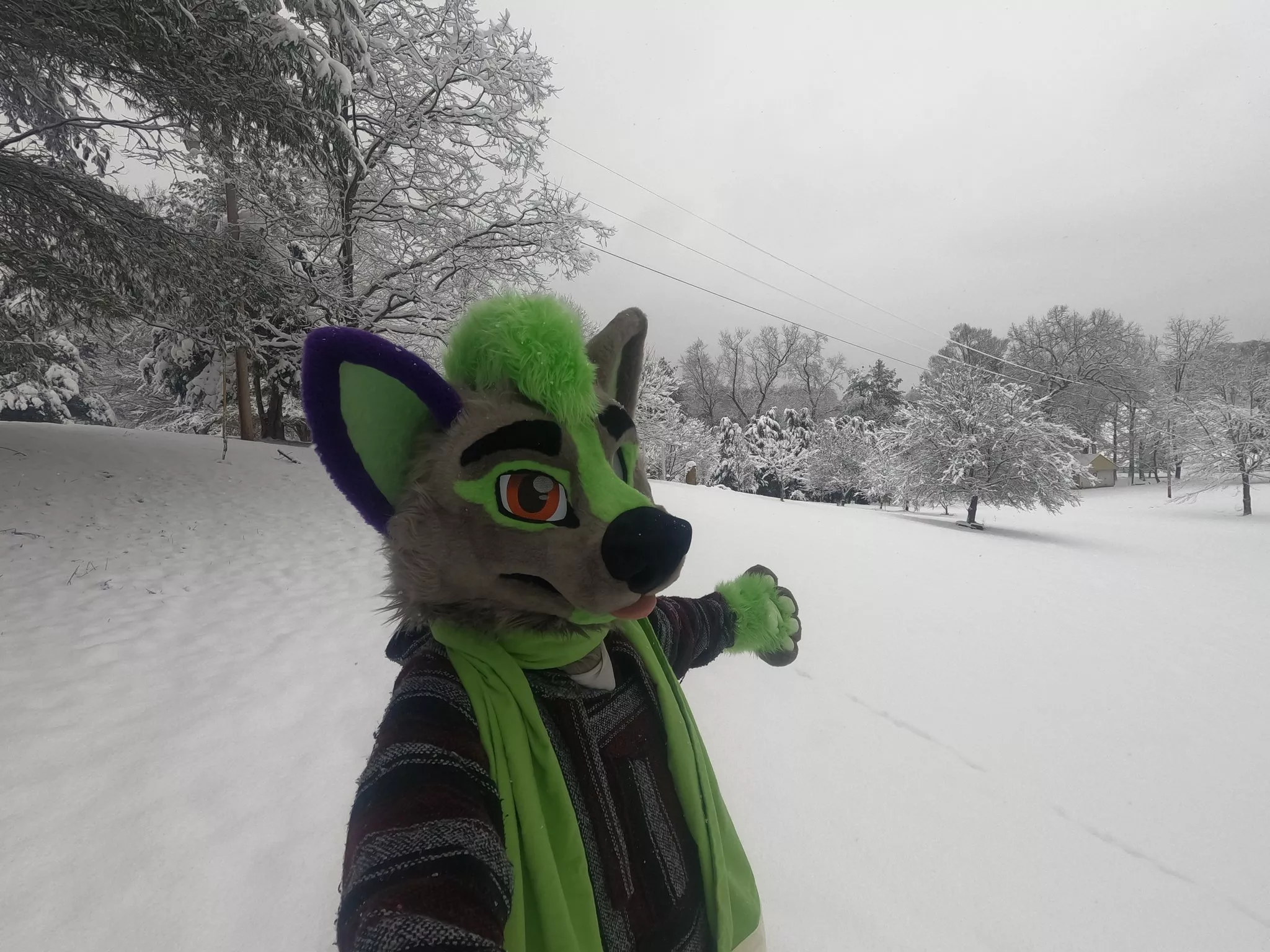 Look at all this free cocaine!!!