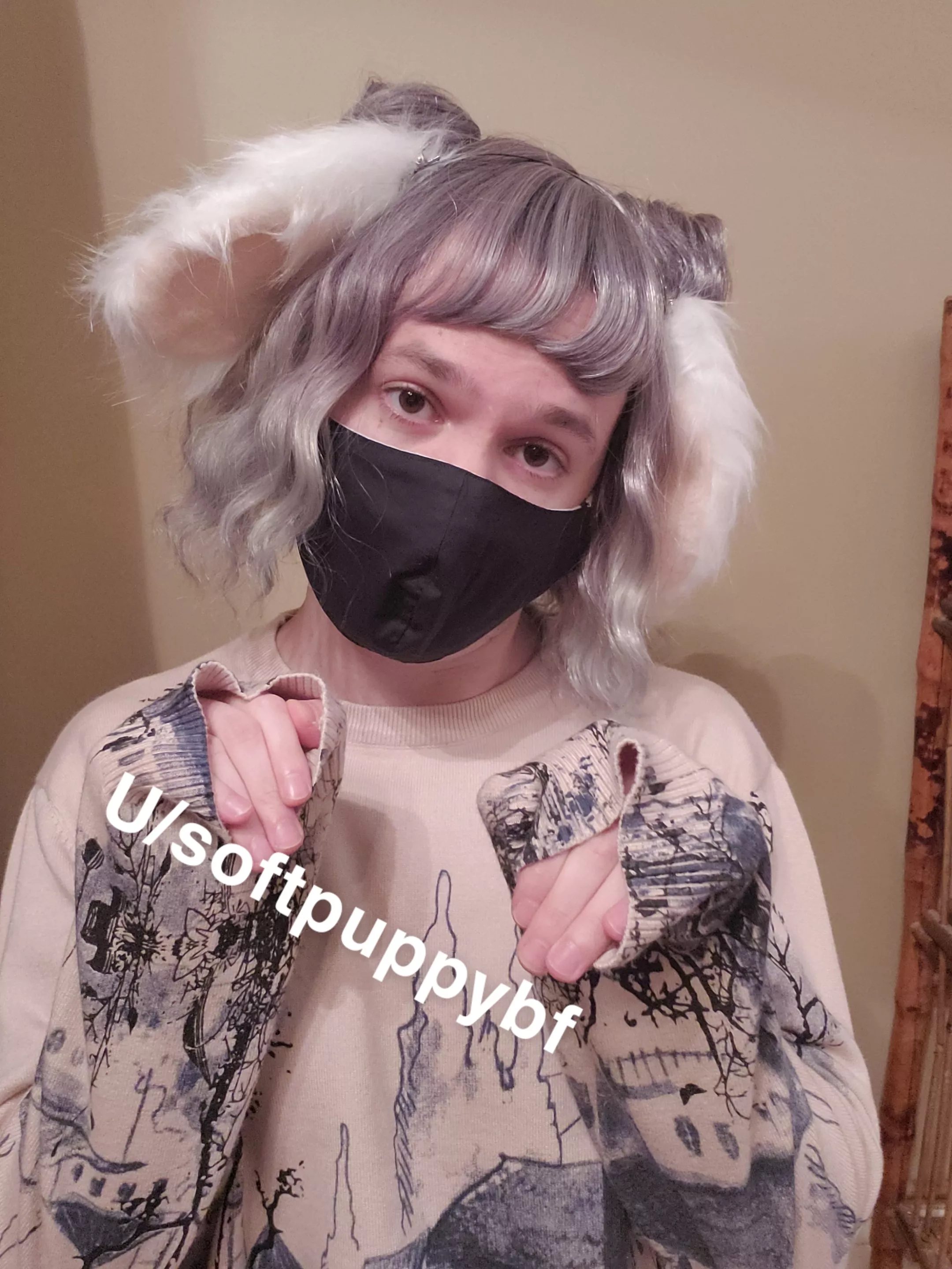 Look how cute my new ears are 🥰🖤🐶 who wants to play?