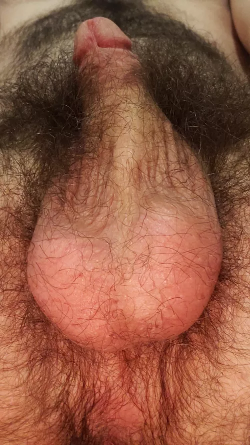 Look how huge my balls look from this angle compared to my dick Look how huge my balls look from this angle compared to my dick
