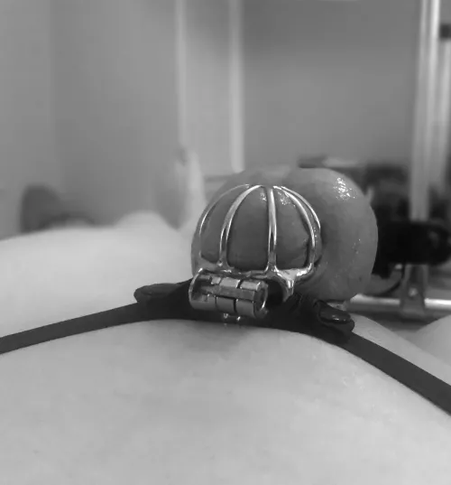 Look how tiny my dick is! My balls stick out further than the cage. It's no wonder I'm a sissy Look how tiny my dick is! My balls stick out further than the cage. It's no wonder I'm a sissy