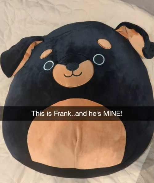 Look what Santa brought me for Christmas! I wish I had a mommy to play with though....