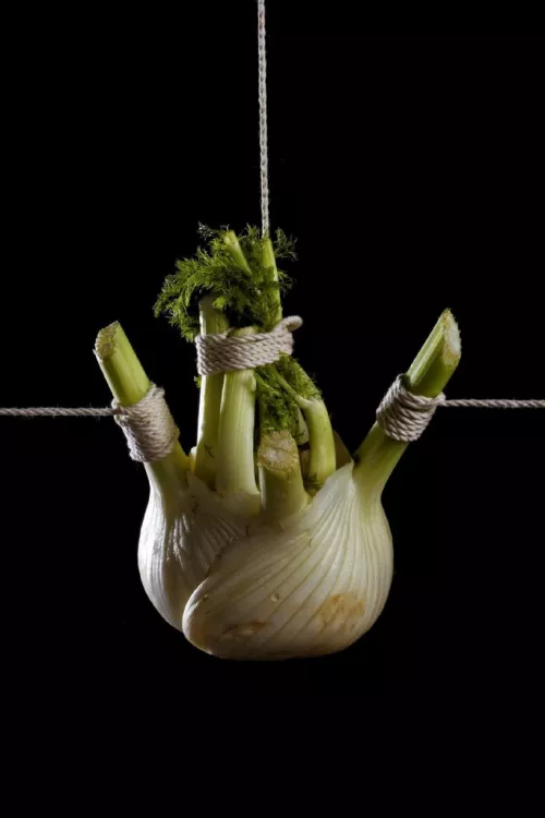 Looked up good bondage was not disappoint