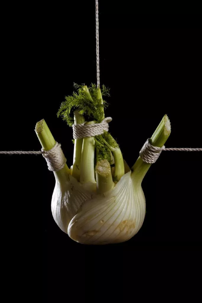 Looked up good bondage was not disappoint Looked up good bondage was not disappoint