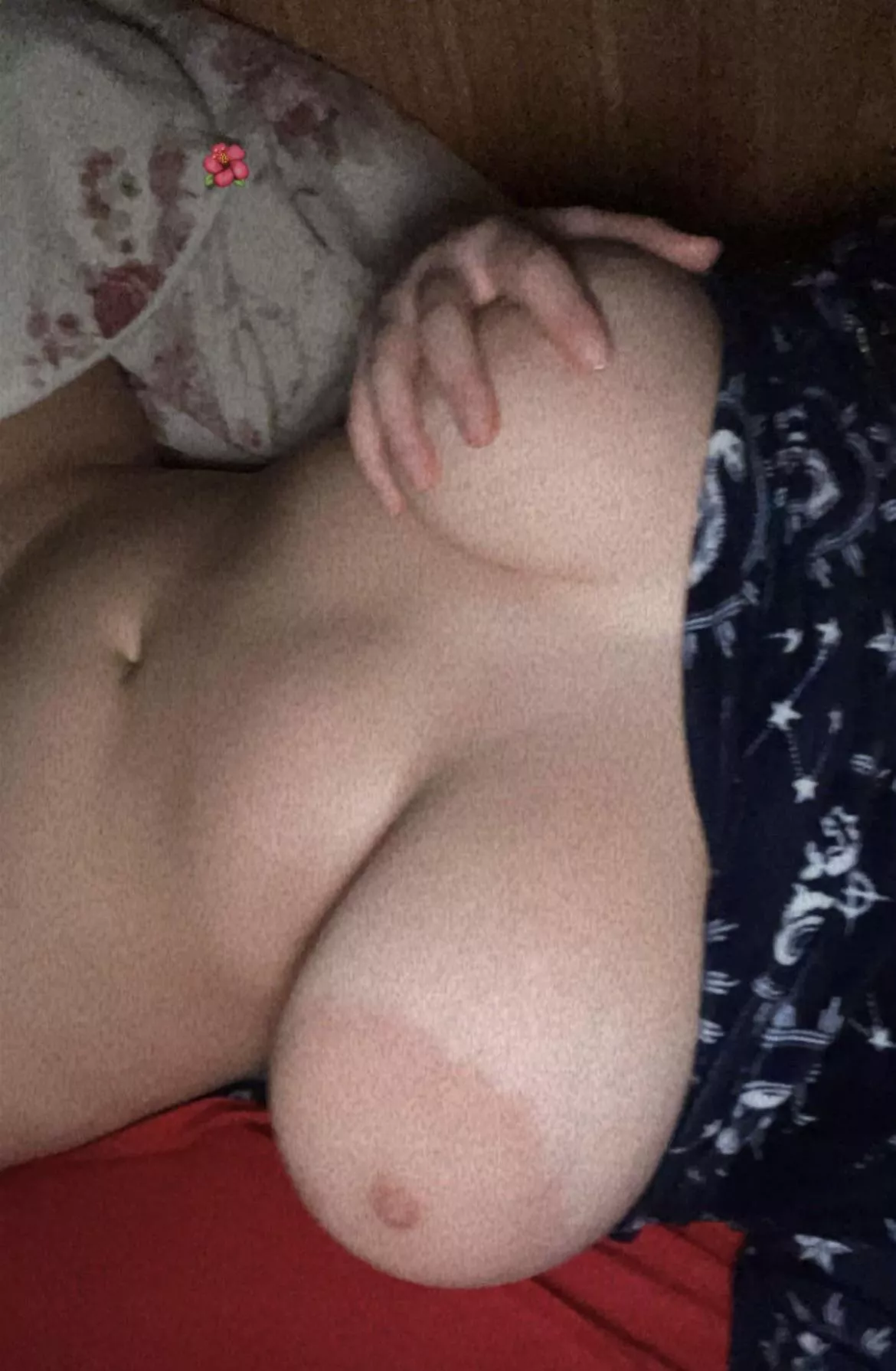 Looking bull ( BBC takes precedence ) DM pleas Looking bull ( BBC takes precedence ) DM pleas