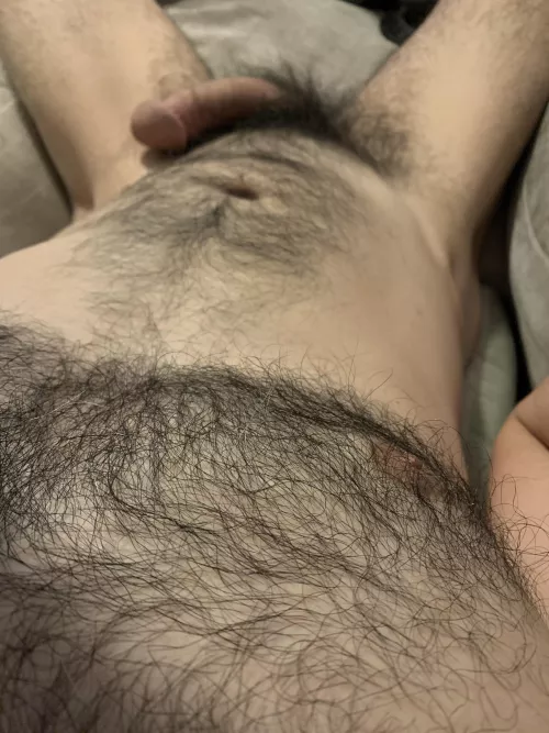Looking down my furry chest