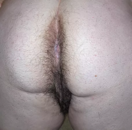 Looking for a plug! Looking for a plug!