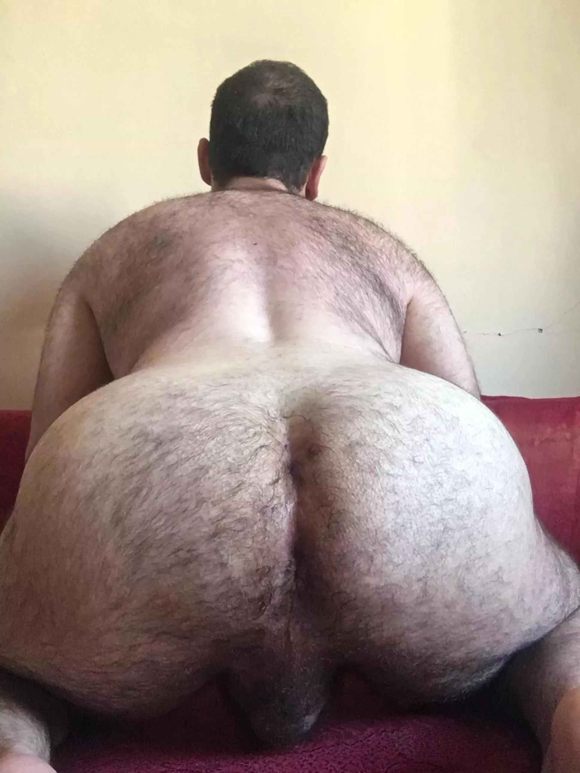 Looking for a ride ? Looking for a ride ?