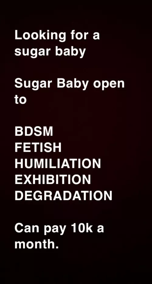 Looking for a sugar baby
