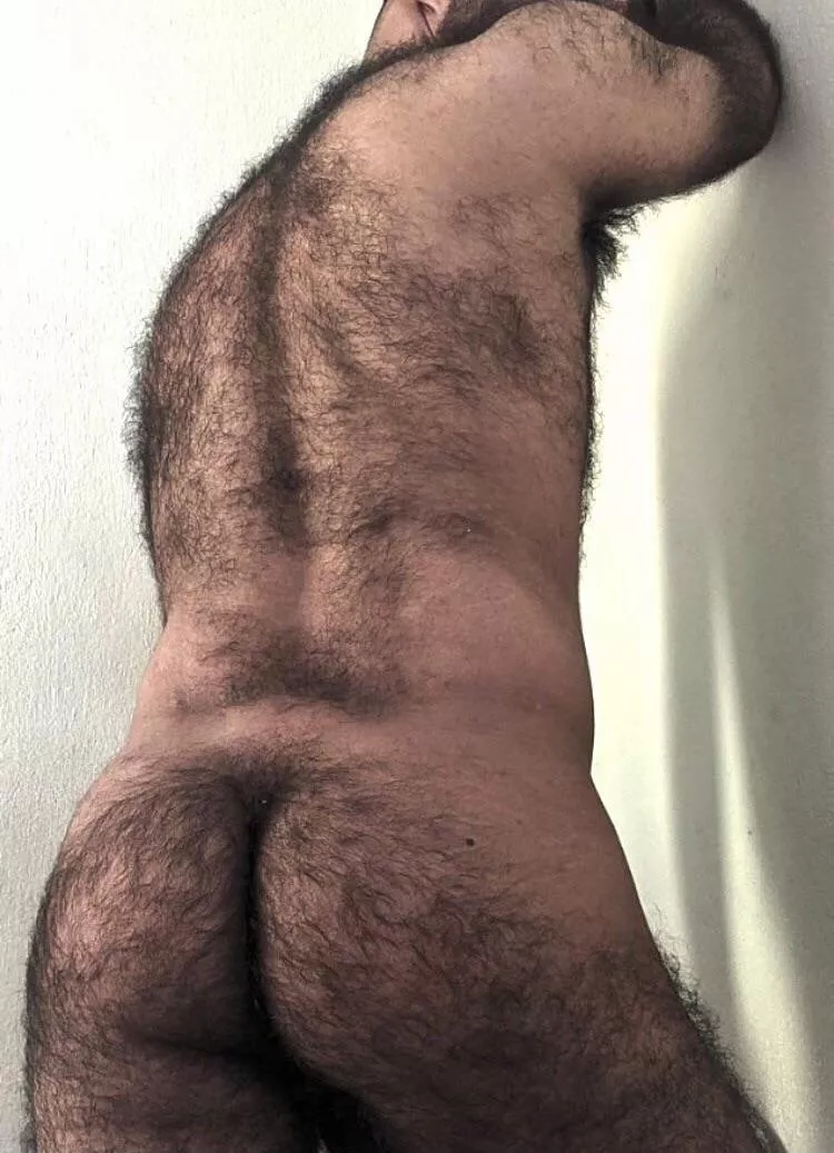 Looking for other big hairy smelly dudes for raw mansex