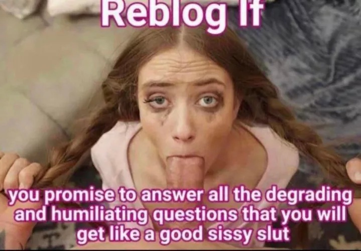 Looking for some fun!