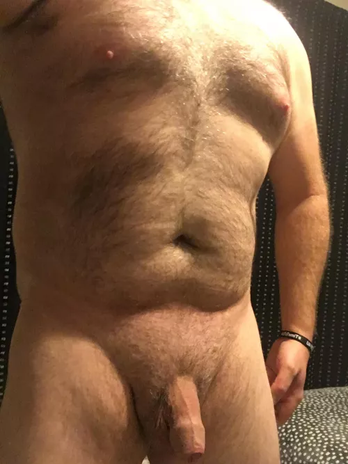 Looking for some opinions