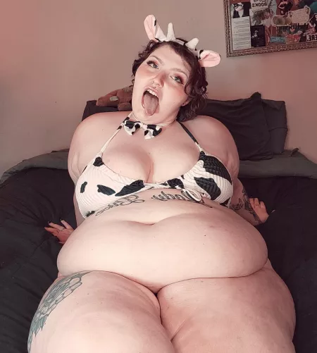 Looking for something to put in my mouth ... Any suggestions? ๐