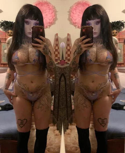 Looking to destroy a pathetic pigs life ❤️