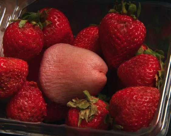 Looks juicy Looks juicy