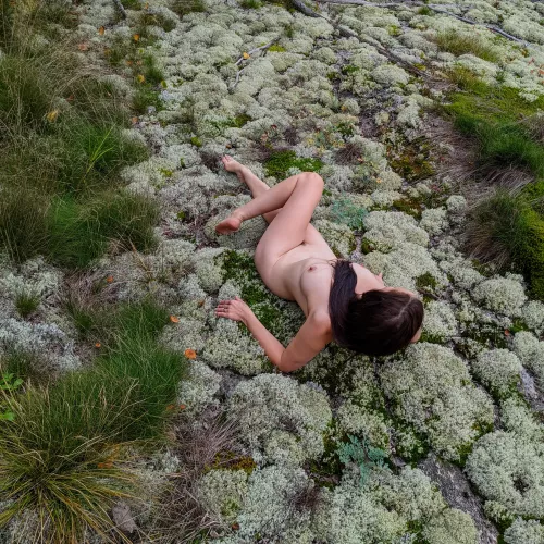 Looks lichen I've fallen, could you help me up Looks lichen I've fallen, could you help me up