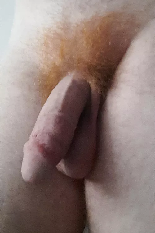 Looks soft, doesn't it?