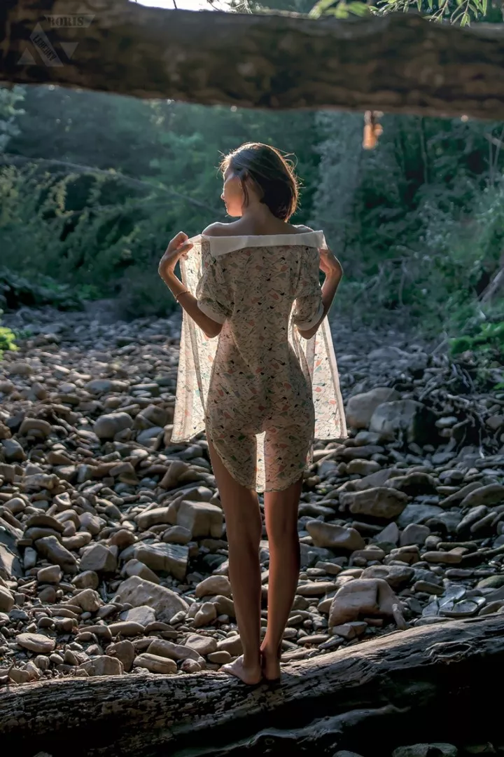 lost in the forest lost in the forest