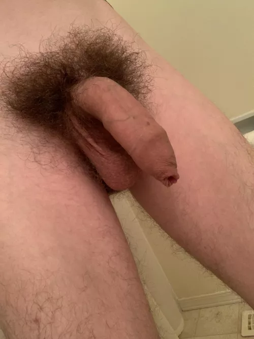 Lots of girls tell me to shave, should I?