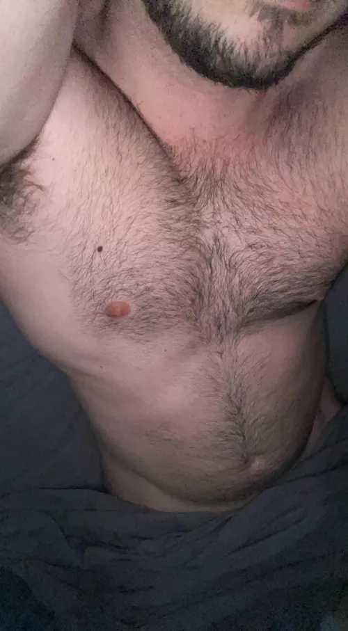 Love a beefy stocky dude ;) Life pretty shitty but physically feeling good. DMs always open for beefy men π€€