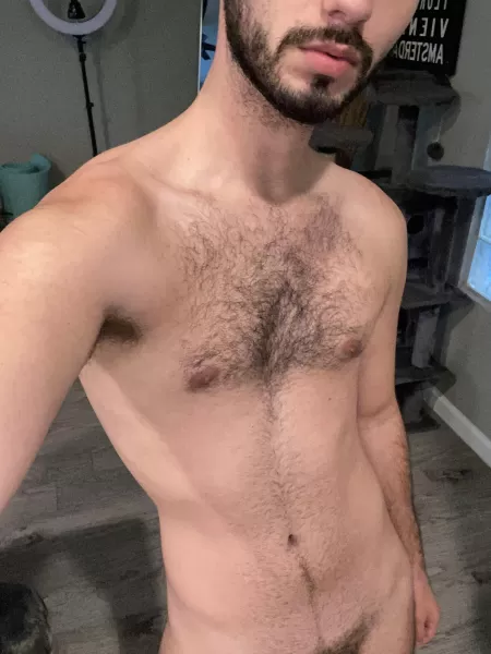 Love growing out my chest hair Love growing out my chest hair